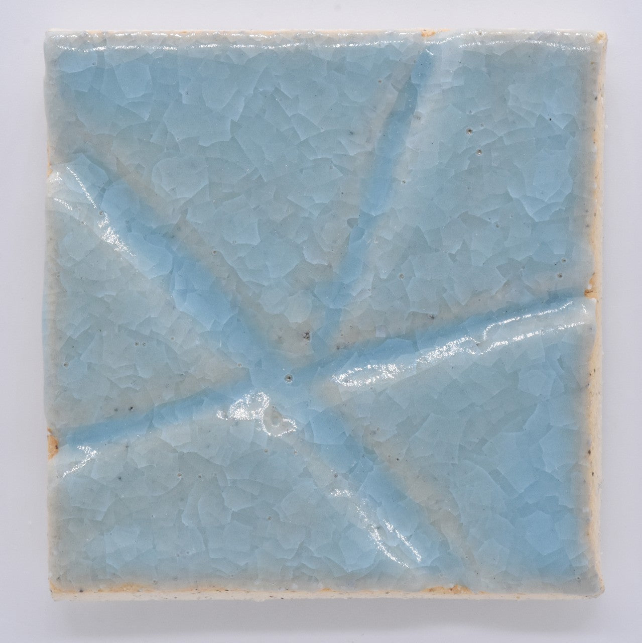 日本信樂 JPG-K02 水藍冰裂 (10oz)