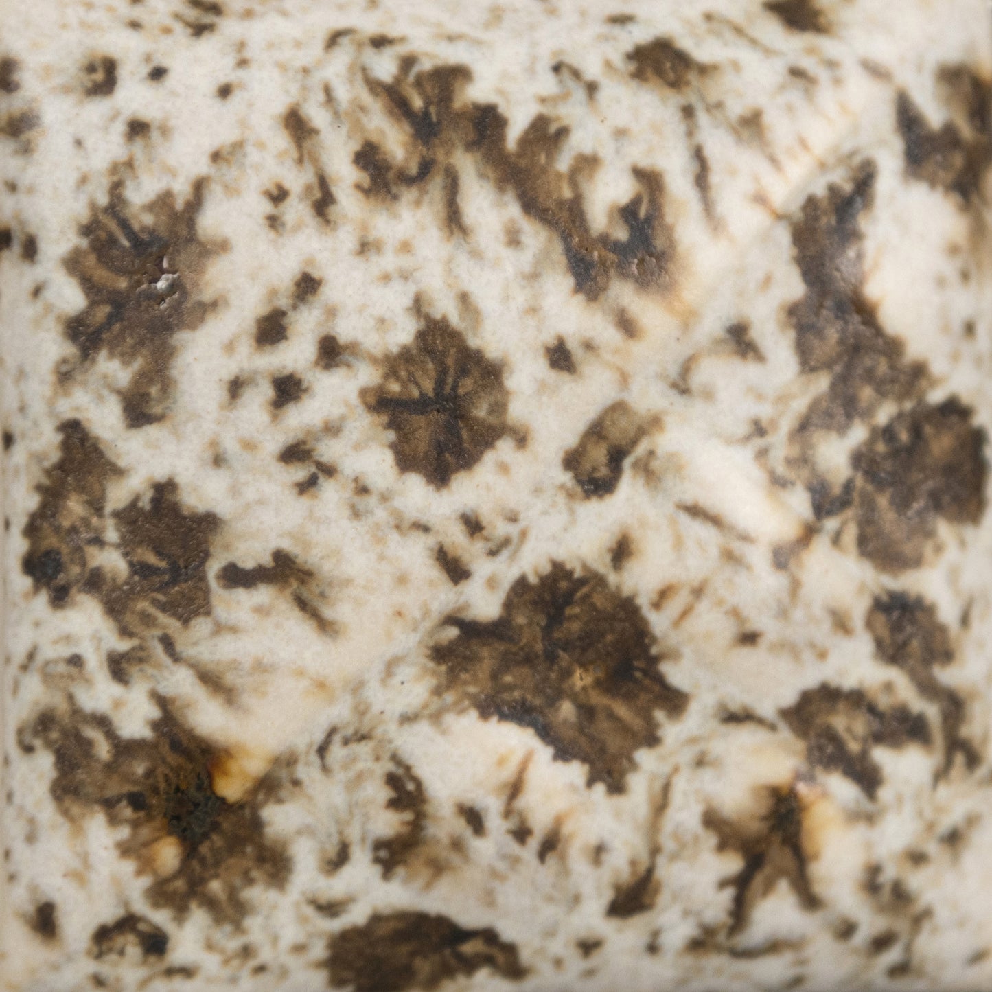 MAYCO Stoneware Crystal Glaze - SW-155 Winter Wood - 冬木 (16oz)