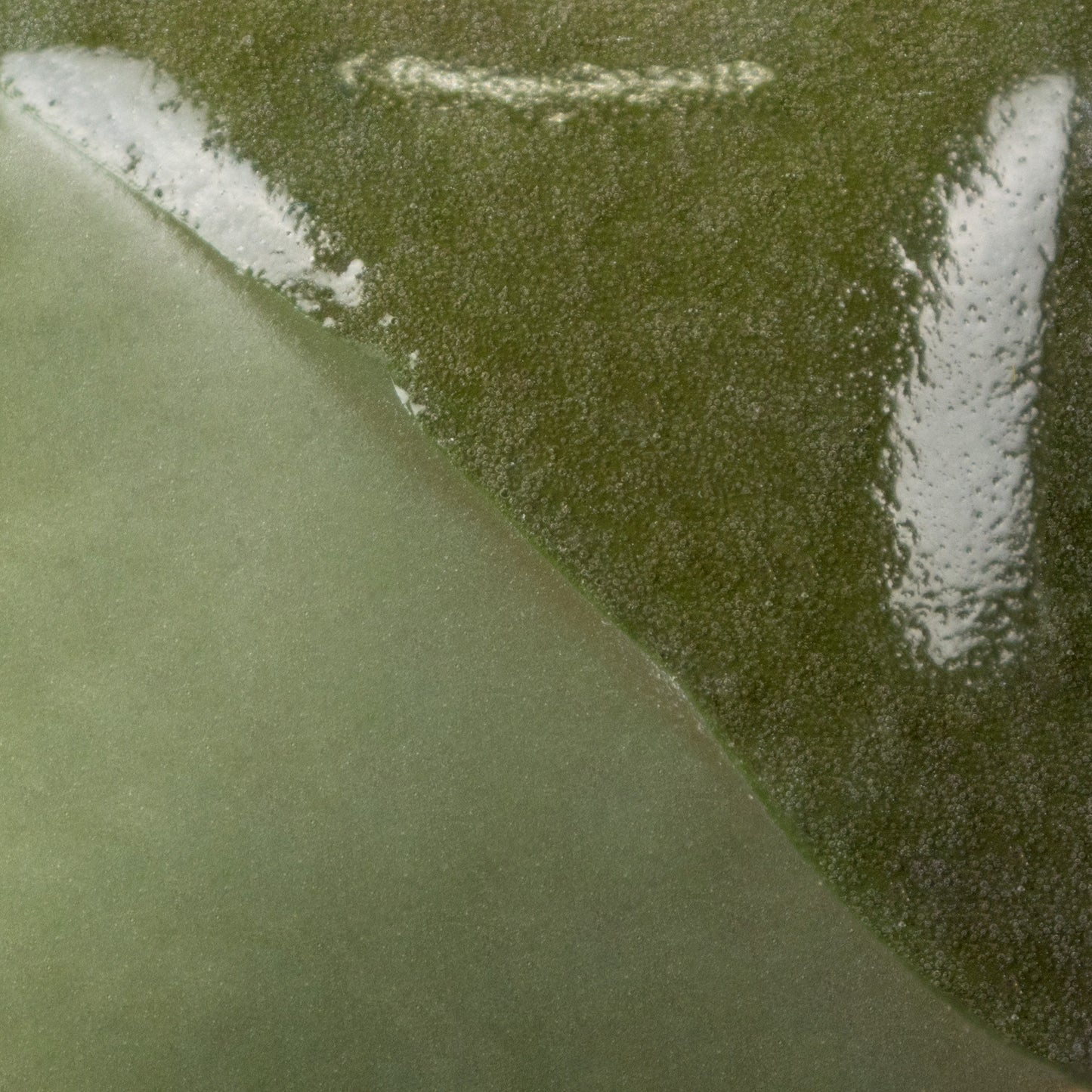 MAYCO Fundamentals Underglaze - UG21 Leaf Green - 葉綠釉下彩 (2oz)