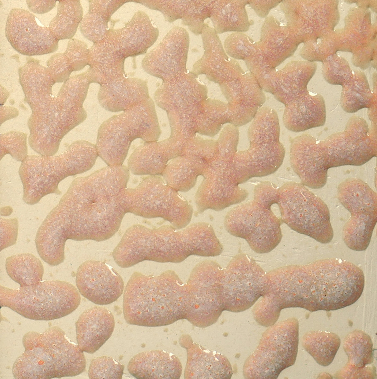 AMACO Crawls CR-17 Flux Crawl 助溶縮裂釉(16oz)