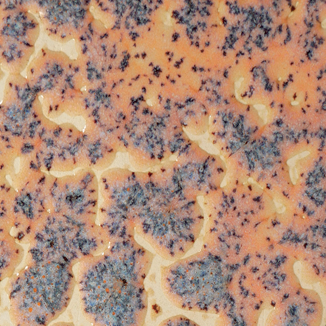 AMACO Crawls CR-18 Speckled Flux 斑點助溶縮裂釉(16oz)