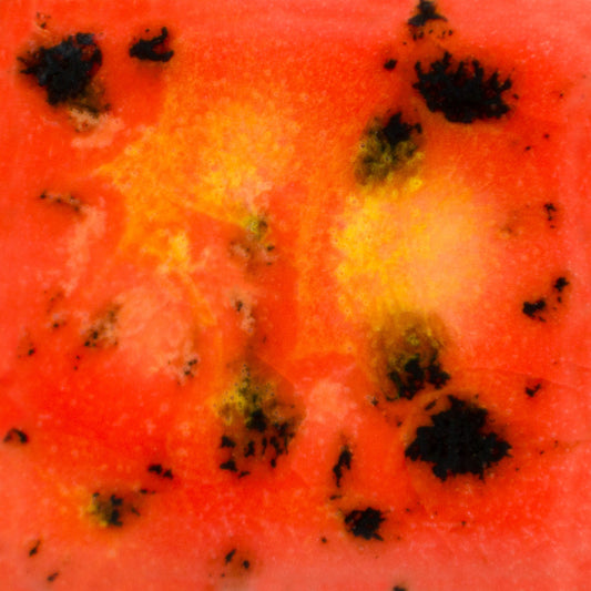 MAYCO Jungle Gems - CG-1002 Day Lily 金針花(4oz)