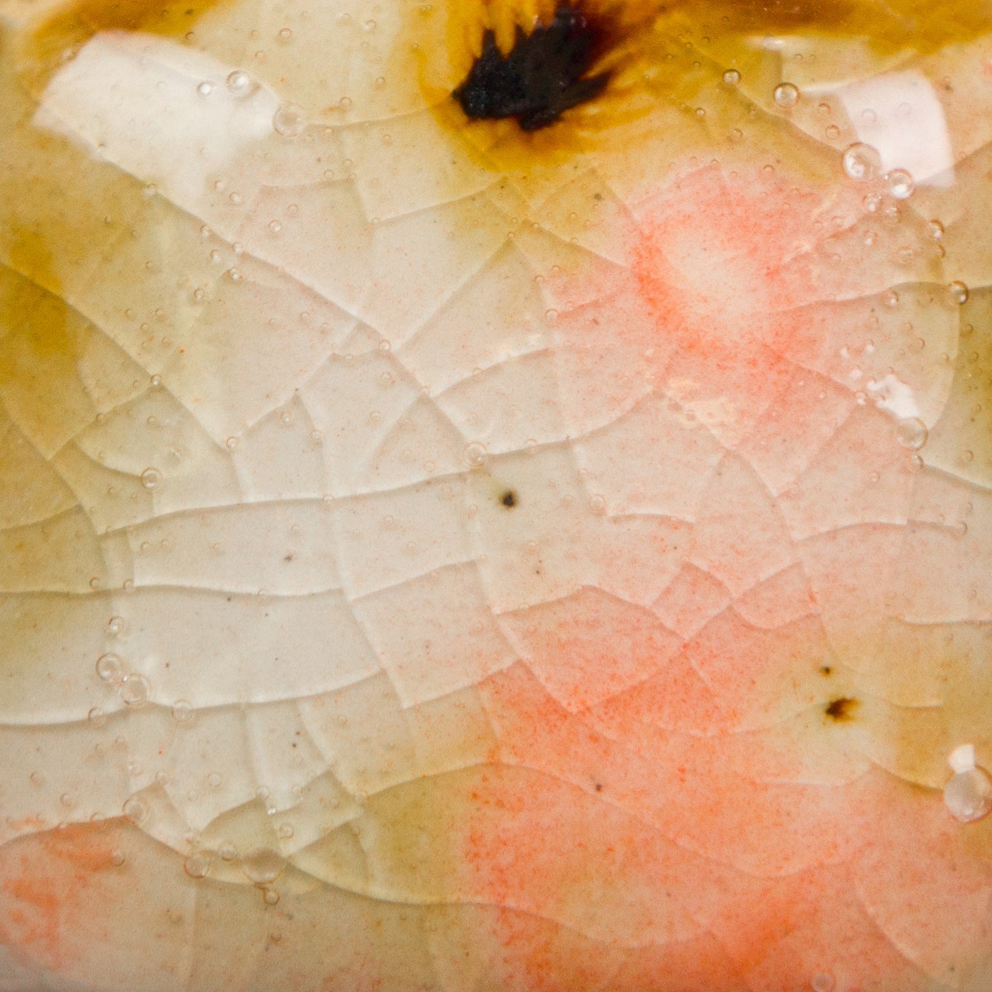 MAYCO Jungle Gems - CG-1002 Day Lily 金針花(4oz)