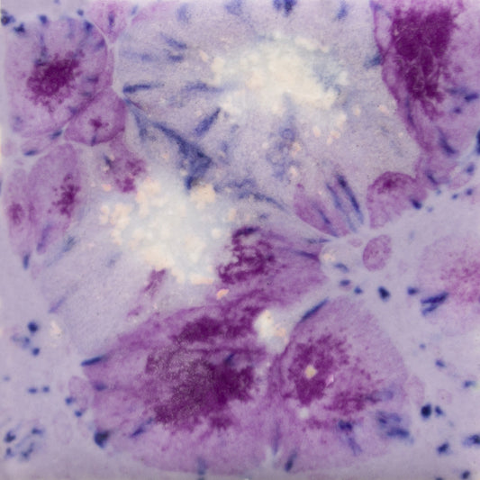 MAYCO Jungle Gems - CG-1006 Purple Reign 紫色貴族 (4oz)