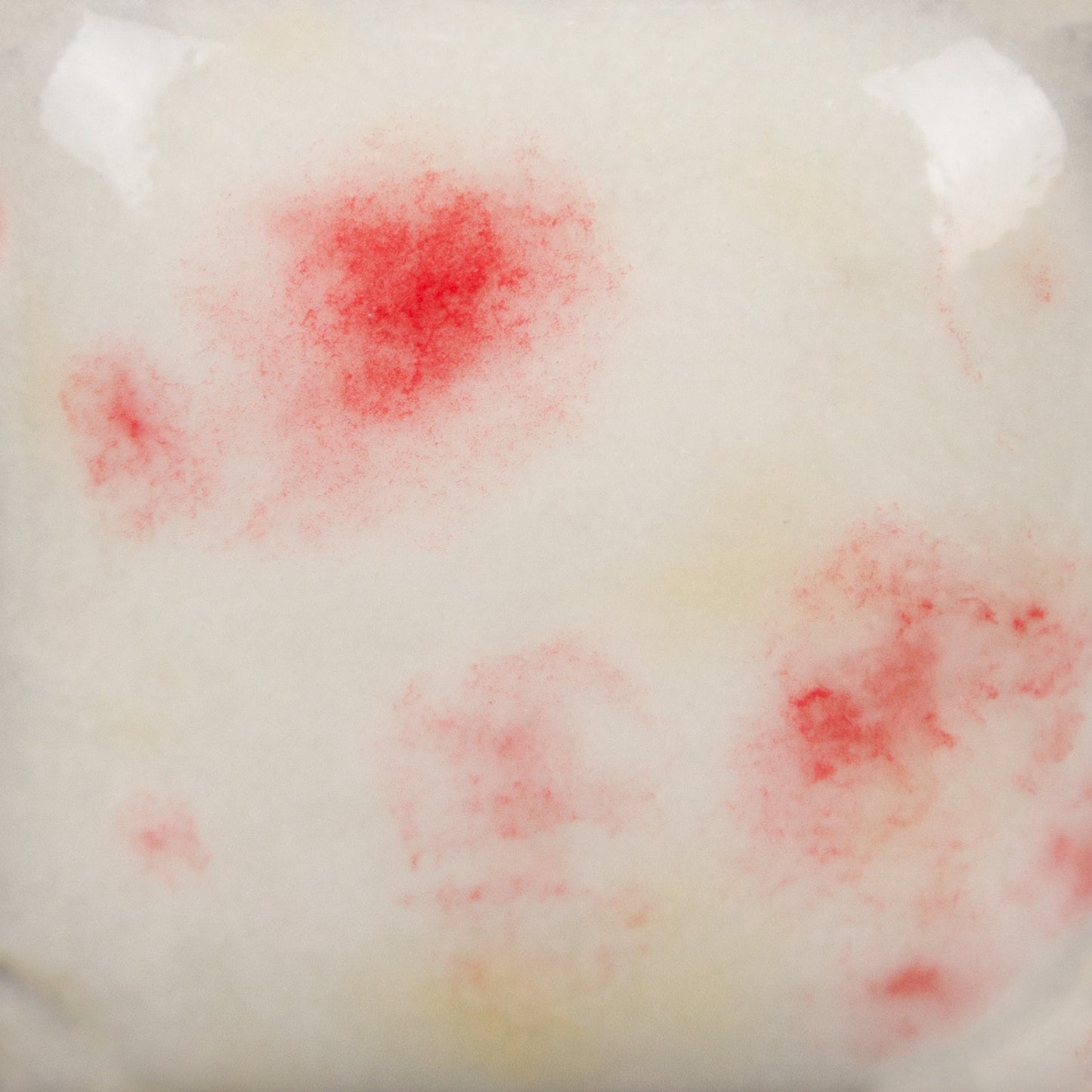 MAYCO Jungle Gems - CG-1004 Berry Tart 莓果塔 (4oz)